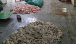 Lòng thiu, thịt lợn thối 'tấn công' mâm cơm Việt